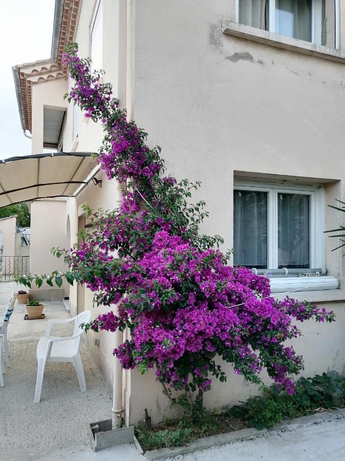 La Maison De 6Fran Appartement 2 Chaleureux Et Calme Ambiance Familiale Valros Eksteriør bilde