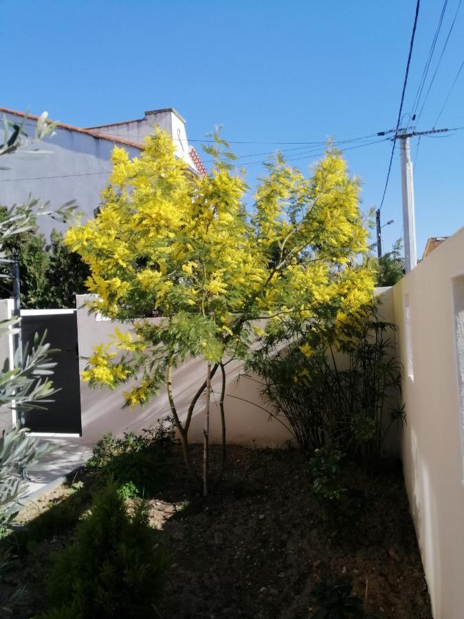 La Maison De 6Fran Appartement 2 Chaleureux Et Calme Ambiance Familiale Valros Eksteriør bilde